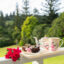 Discover Norfolk Island’s Secret Wellness Havens