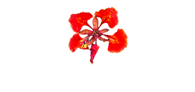 Poinciana Cottages