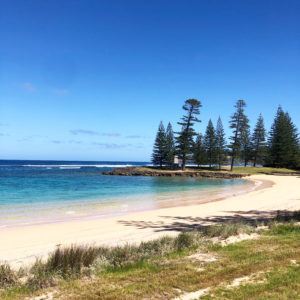 Things you need to know about norfolk island