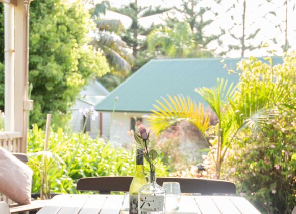 Sunlit garden patio with a wooden table, cushioned chairs, and a single flower in a bottle as a centrepiece.