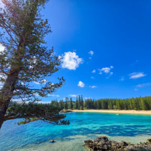 Best Things to Do on Norfolk Island: A Seasonal Guide