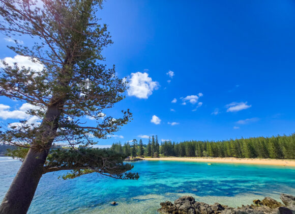 Best Things to Do on Norfolk Island: A Seasonal Guide