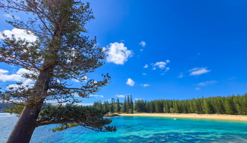 Best Things to Do on Norfolk Island: A Seasonal Guide