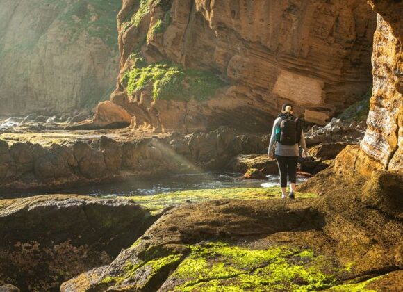 The Solo Traveller’s Blueprint for Norfolk Island: Safety, Socialising, and Independent Exploring