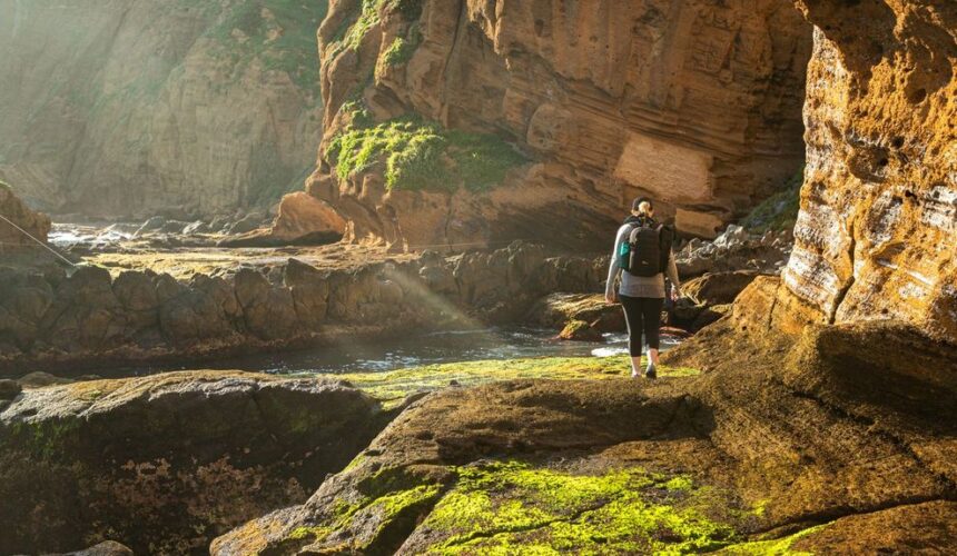 NI Hiking Trails The Solo Traveller’s Blueprint for Norfolk Island: Safety, Socialising, and Independent Exploring